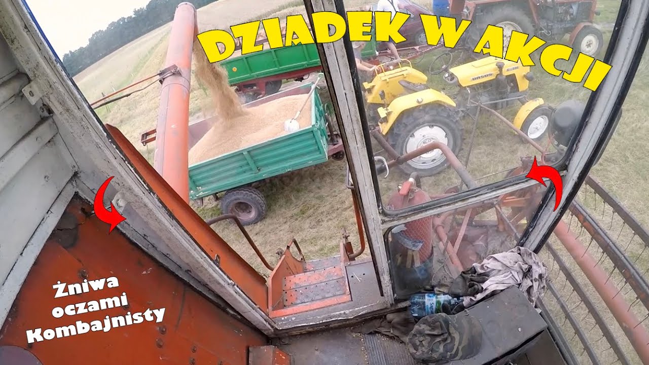 Żniwa Oczami Kombajnisty | Bizon Z056 | POV Harvest | Czerwony Bizon | Pszenżyto Kasyno