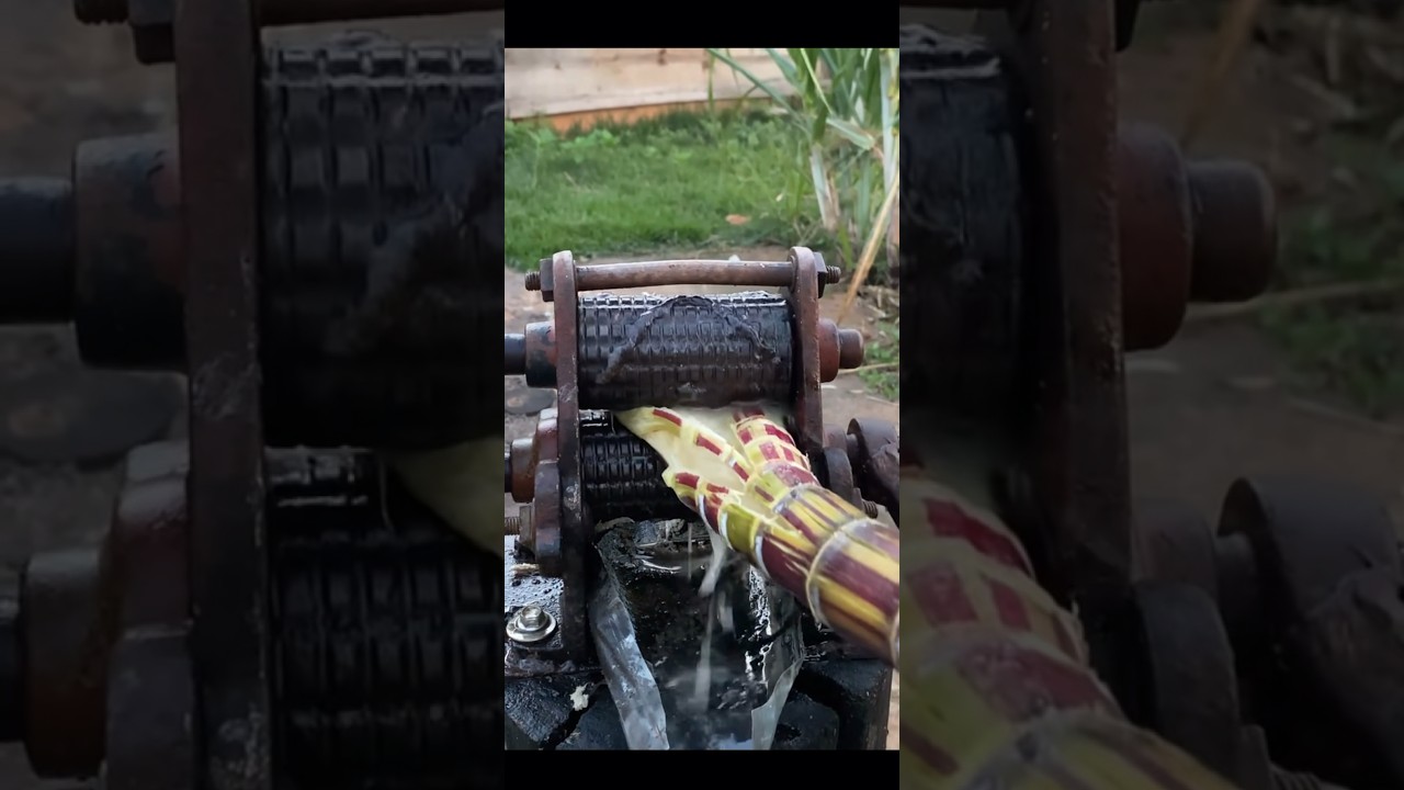 😳 How To Make Sugar cane juice #shorts #shortsfeed #juice #sugarcane #juice #trending #viral #nice