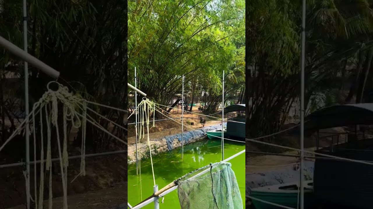 Chemmala fish farm