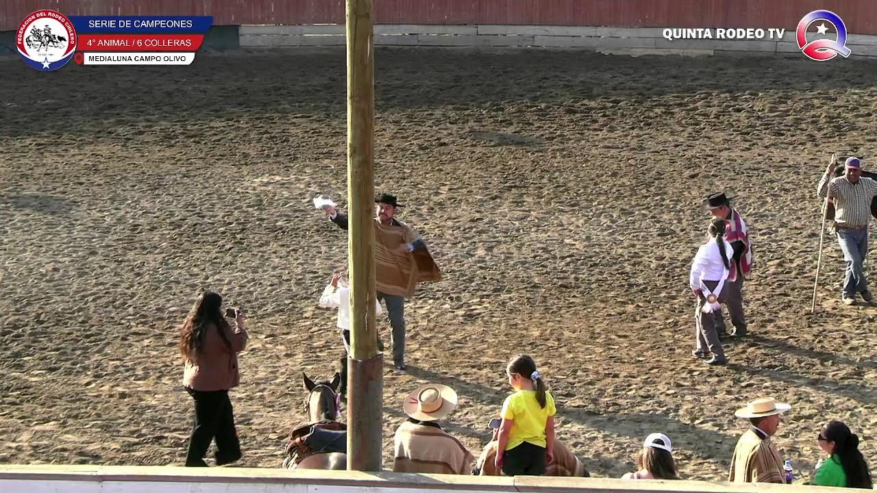 Serie de Campeones/ Rodeo Club CABILDO Asoc. PETORCA - 17 Y 18 De Enero - 2025.