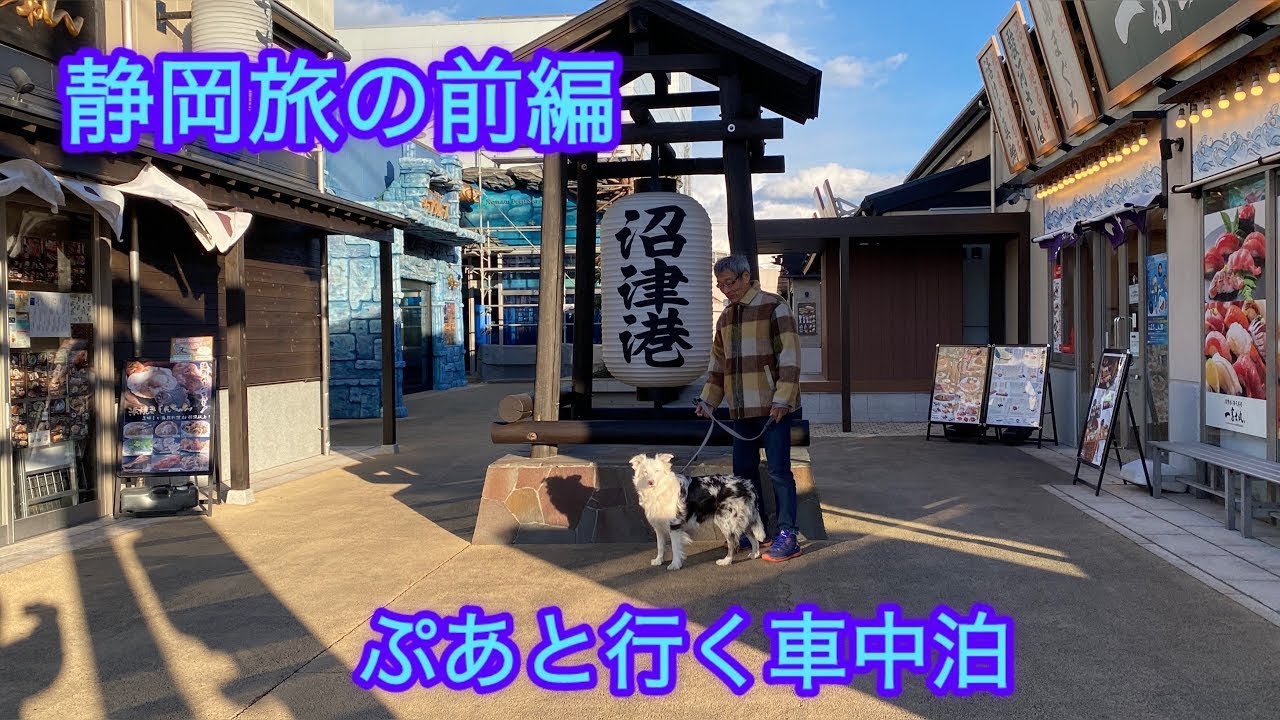 【保護犬ぷあ】静岡の旅〜清水港/沼津港/伊豆ゲートウェイ函南