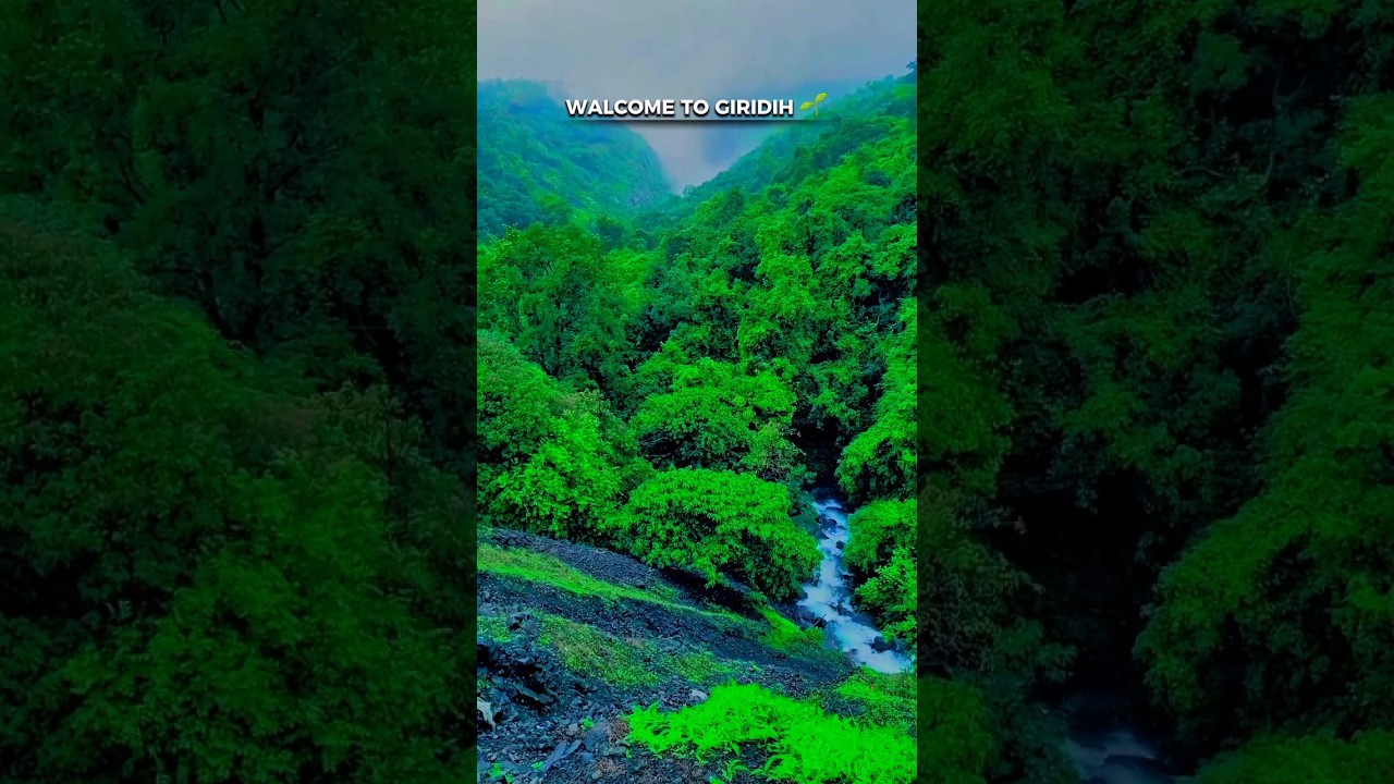 Nature of Giridih 🌱 #shortsfeed #shorts #explorejharkhand #naturelovers #greenvibes #peacefulvibes