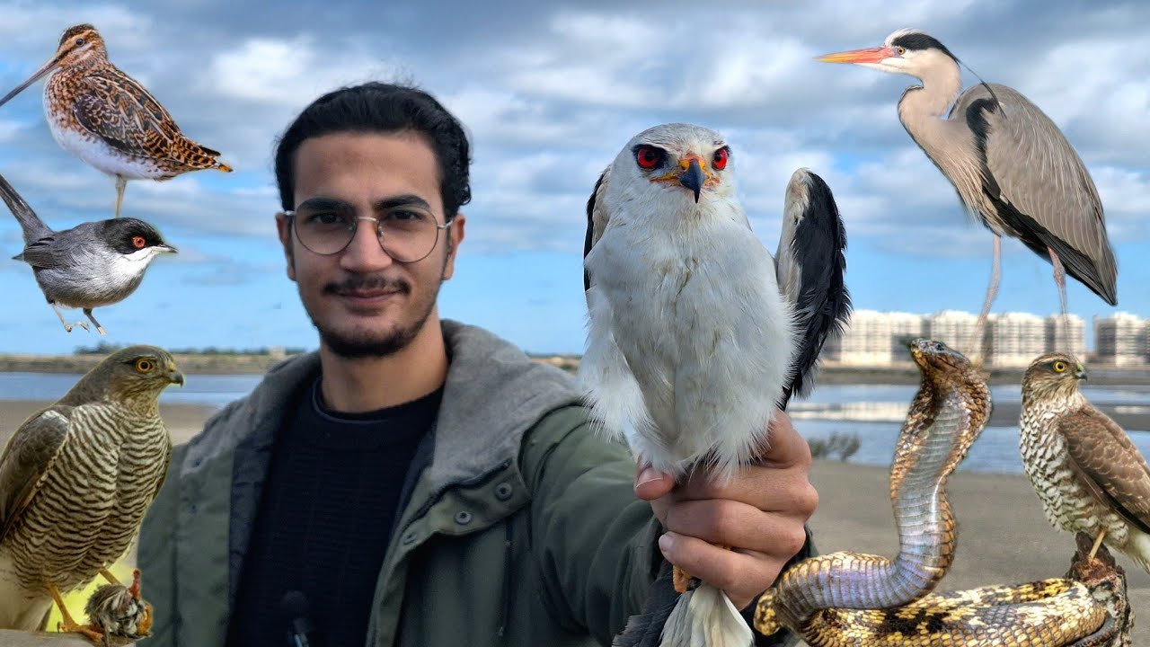 رحلة صيد الطيور و الزواحف الغريبة