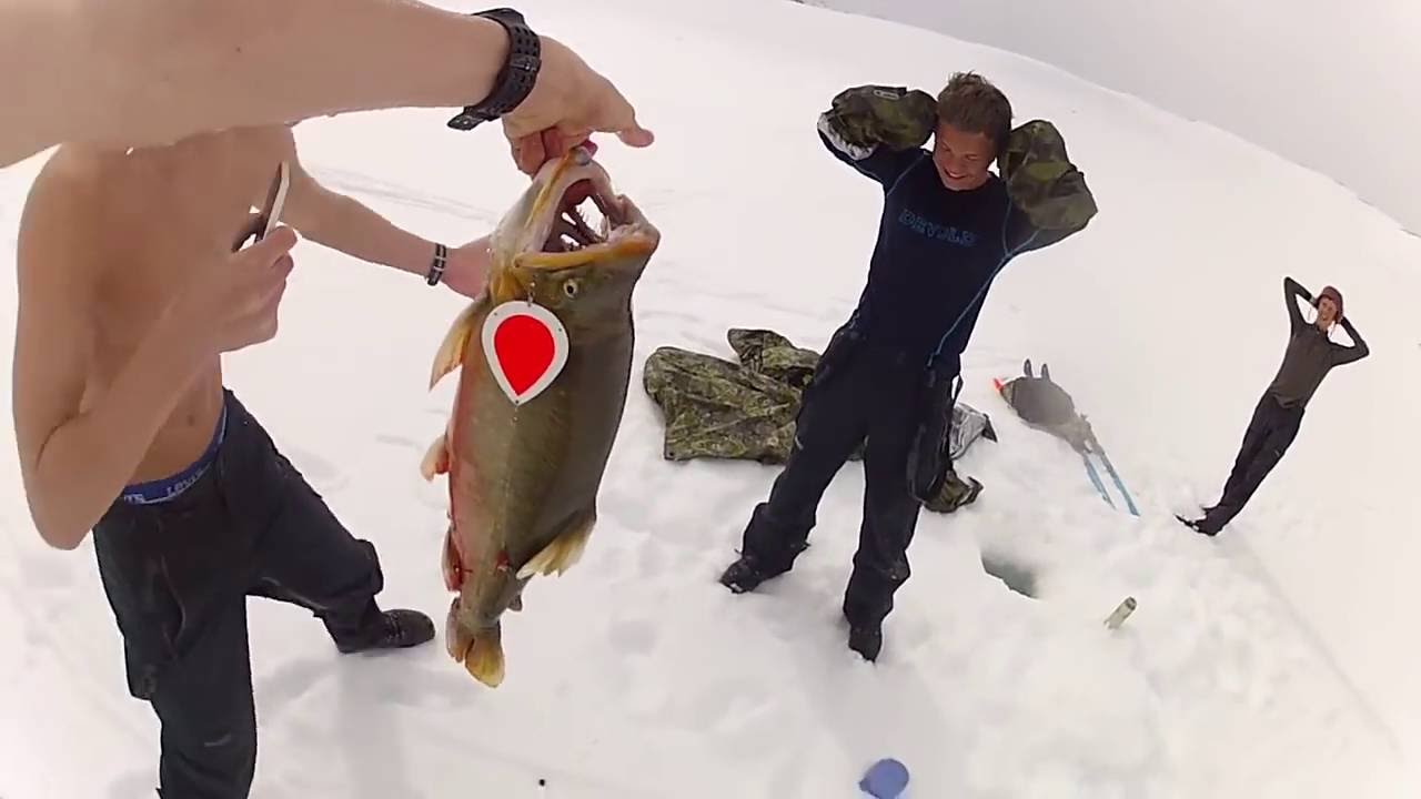 Isfiske Røye 5,2kg Indre Troms