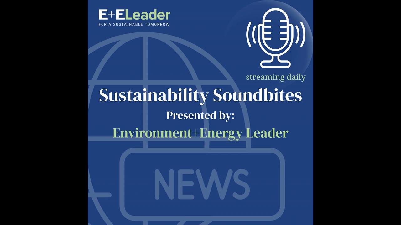 Litus Validates Scalable Lithium Extraction with Nanotech