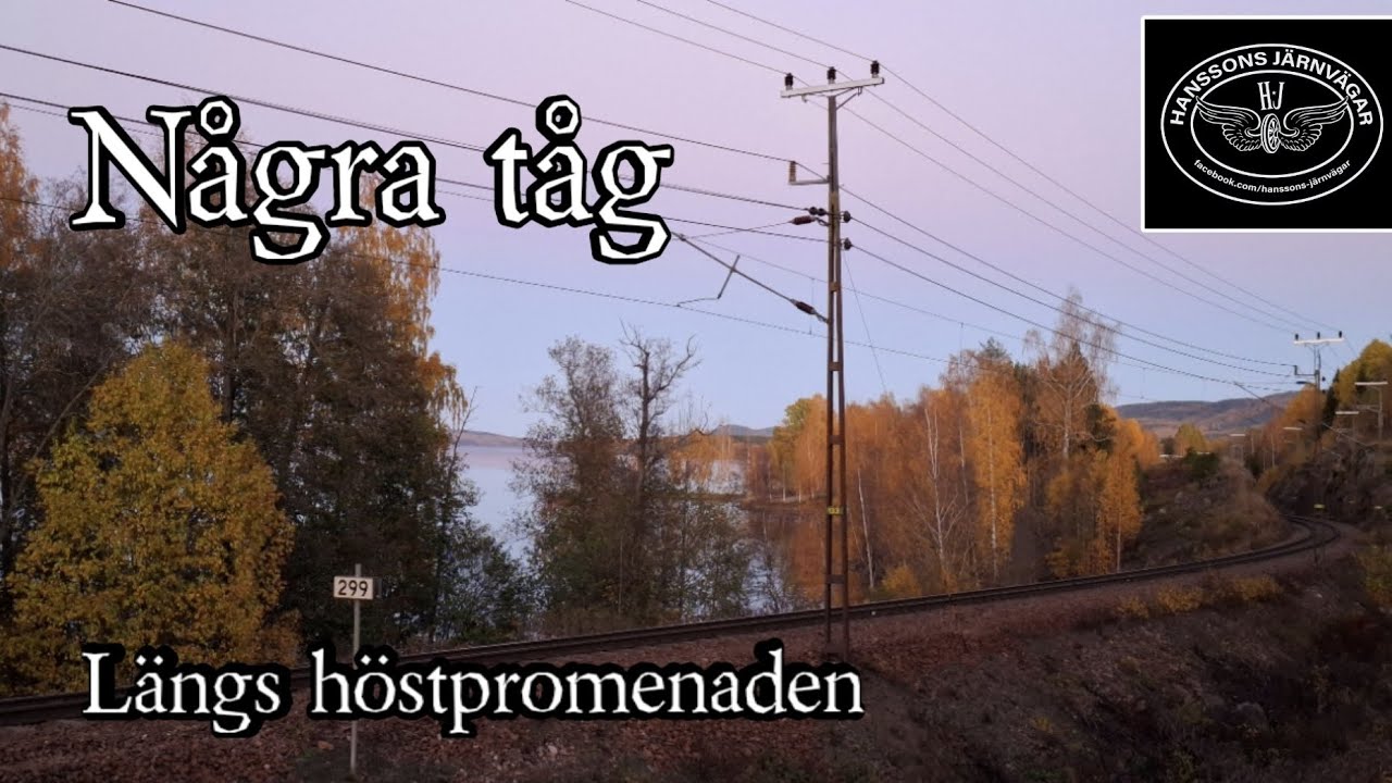 Några tåg längs höstpromenaden