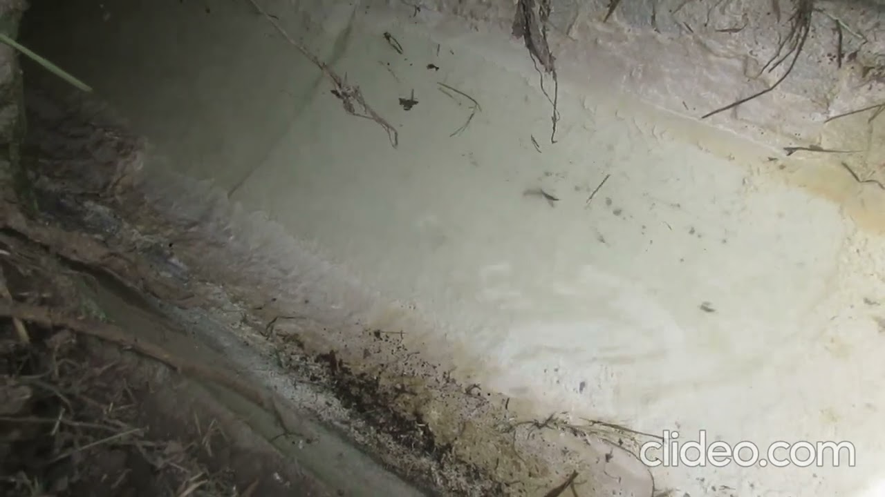 Emschergebiet - Goldhammer Bach, der Bach in dem Milch und Honig fließen