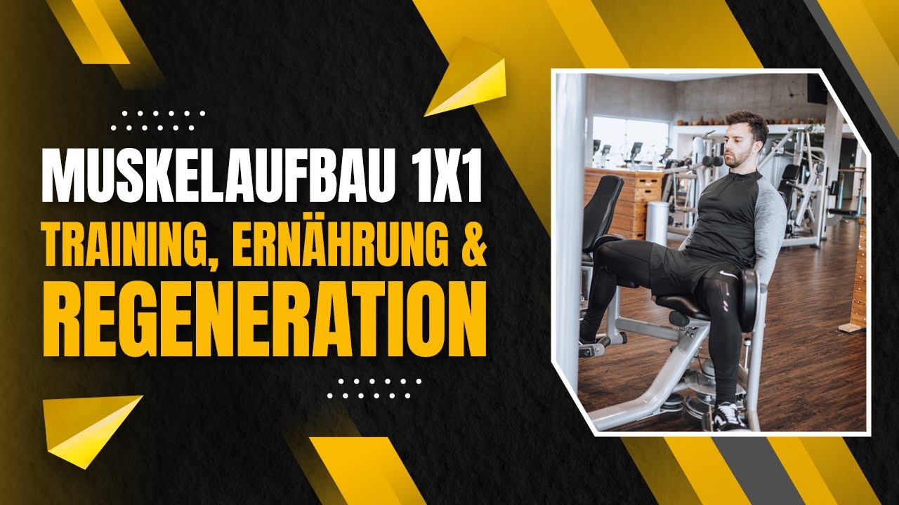 Grundlagen beim Muskelaufbau: Training, Ern&auml;hrung & Regeneration