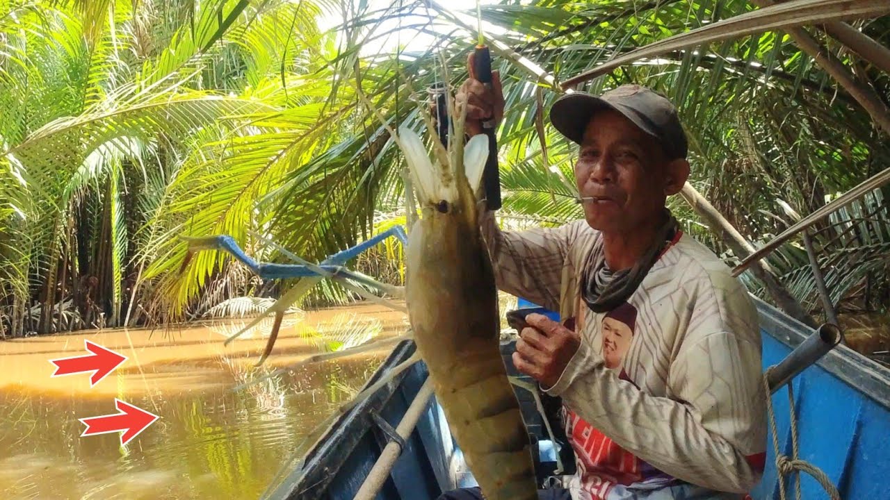 Nemu sarang Udang Galah Jumbo di Spot Tersembunyi Bikin Batal Niat Mancing Casting Trolling