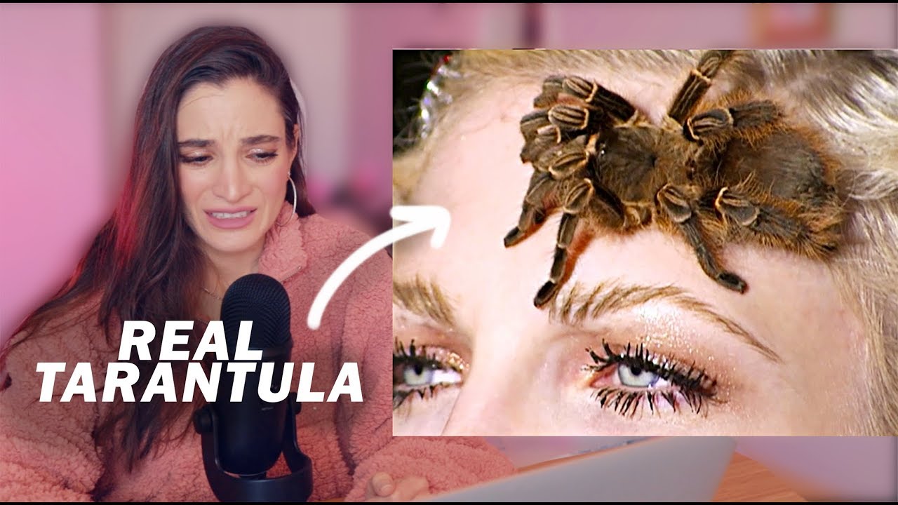 Photographer Reacts To SPIDER Photoshoot in America's Next Top Model