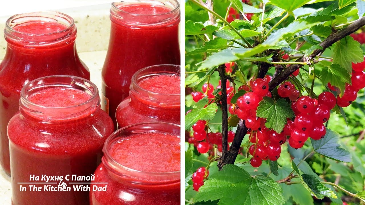 Секреты приготовления желе из красной смородины&hellip; Нужен только сахар | Red Currant Jelly