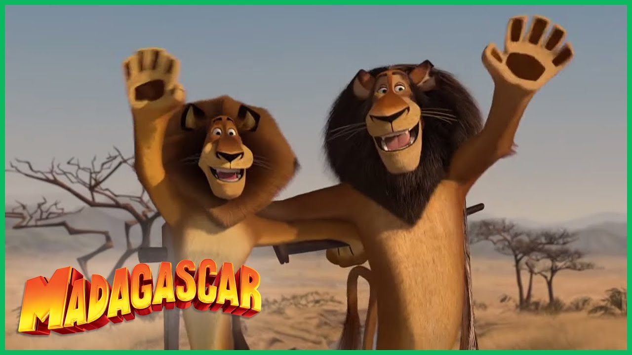 DreamWorks Madagascar | Os Melhores Momentos de Alex | Madagascar: Escape 2 Africa Filme