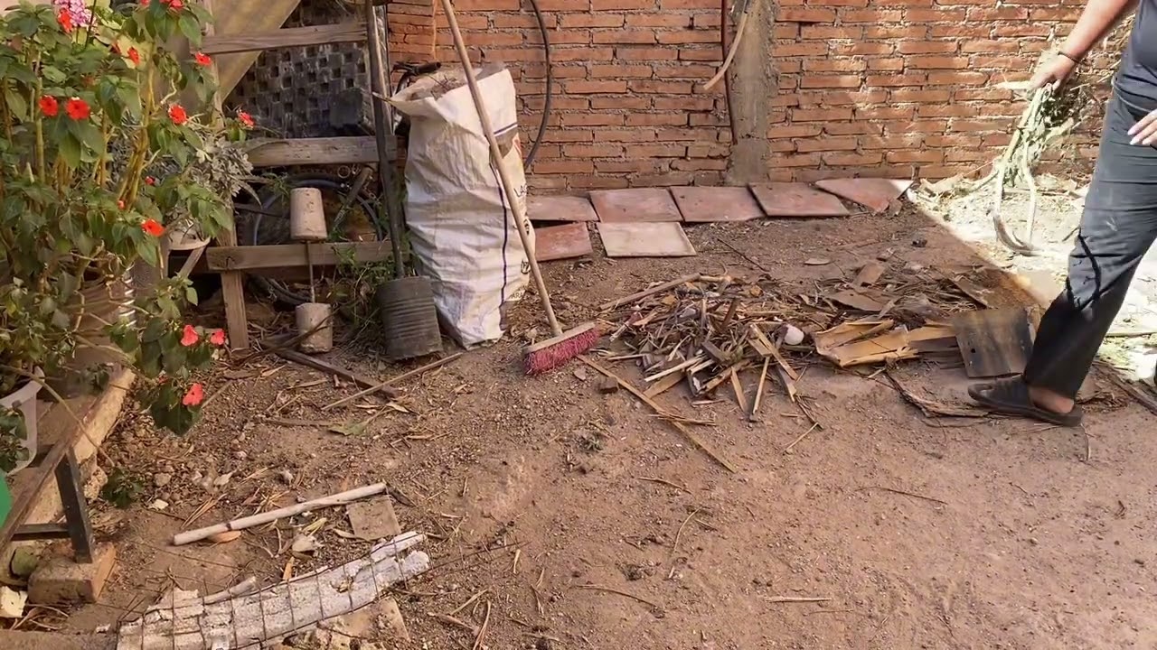 Limpiando y renovando mi patio | Quitando lo que no sirve y plantando nuevas plantas
