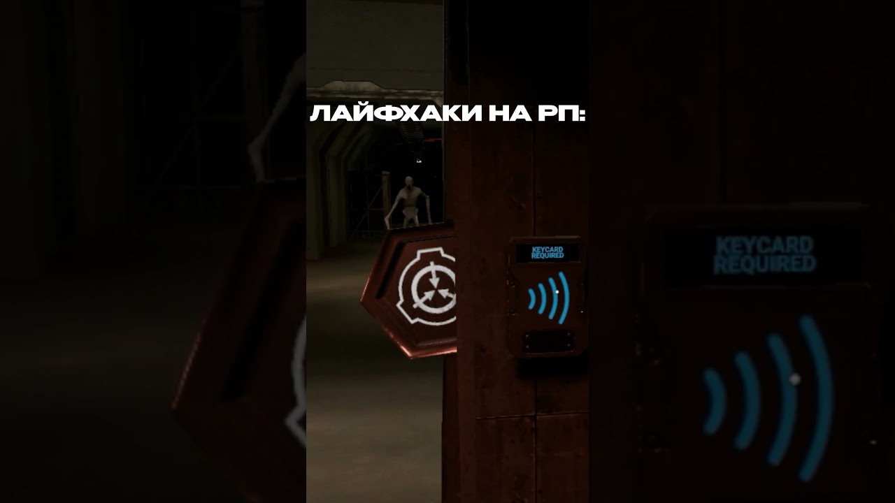 scp sl rp be like
