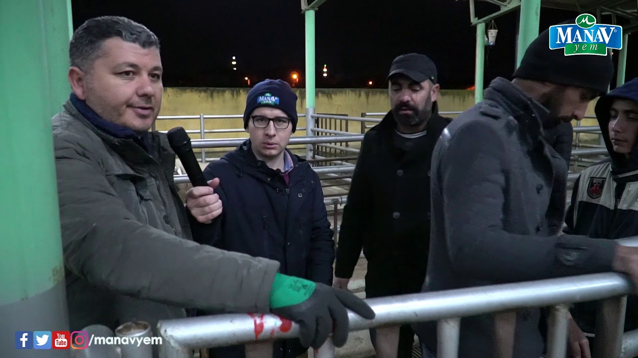 Hayvan Pazarı Sarıgöl Manisa