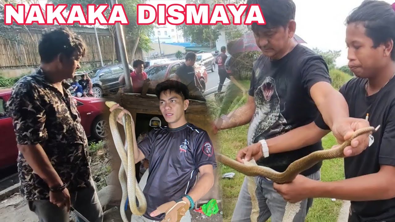 STUDYANTE P@T@Y SA TUKLAW AT COBRA SA SAMPALOC LAKE MALAKE#cobraprince 