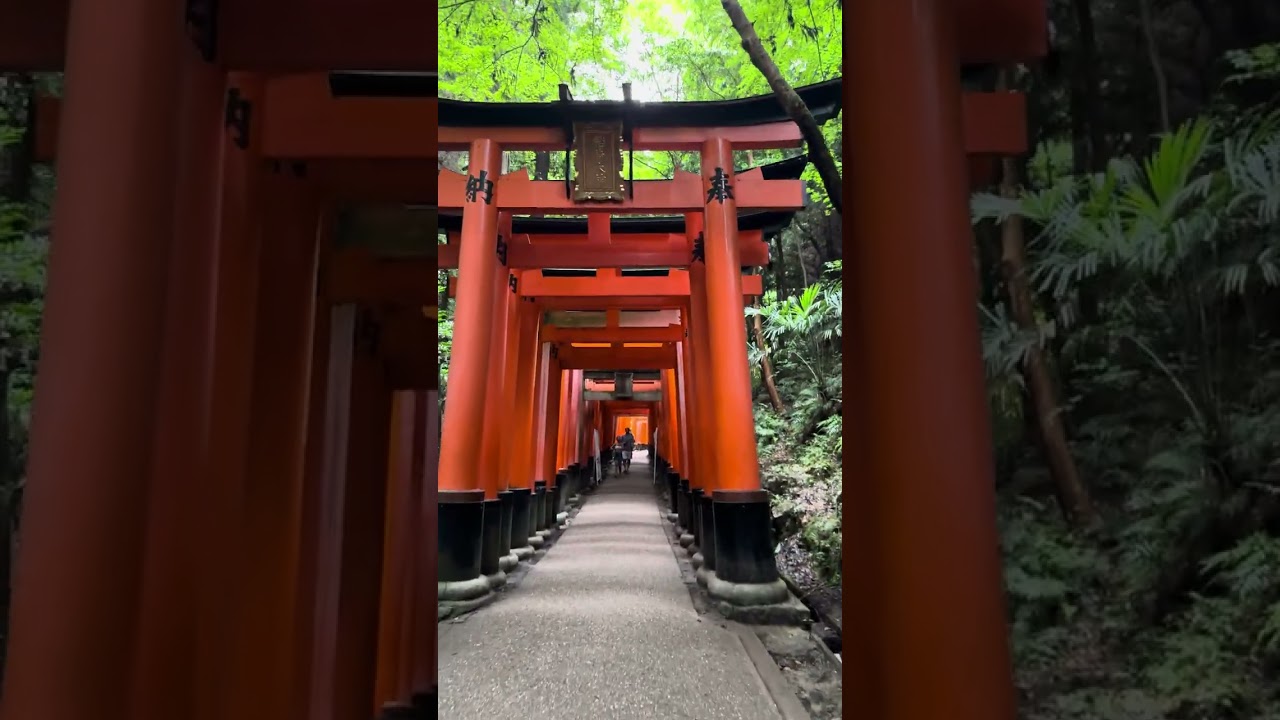 FUSHIMI INARI TAISHA | CLIMB TO TOP |