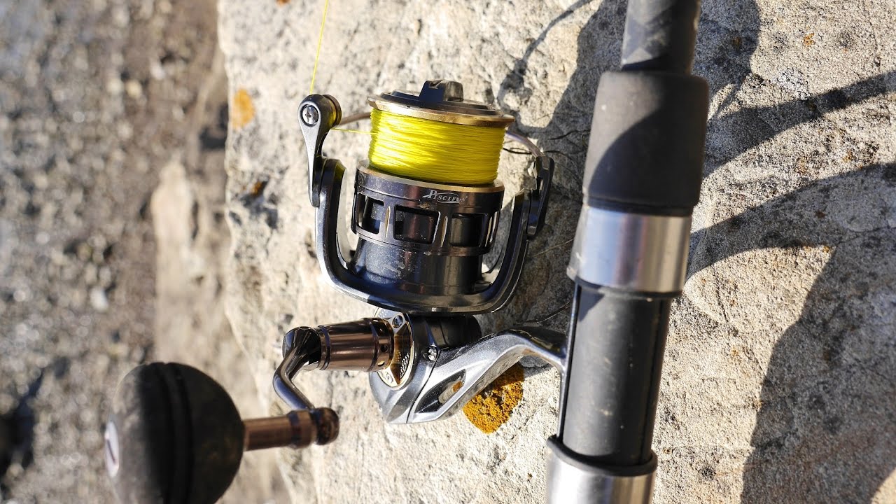 Penn Battle II 4000 Reel vs Piscifun Stone ST40 Part 1