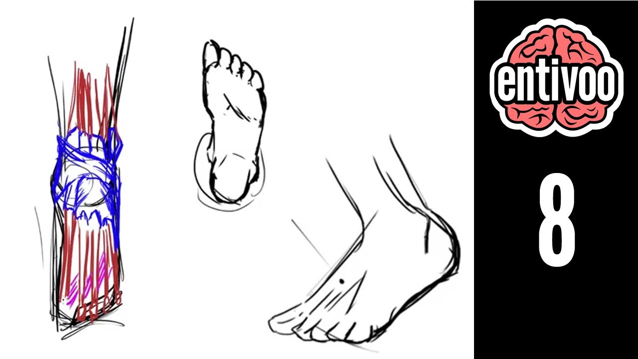 Aprende a dibujar los pies de una persona