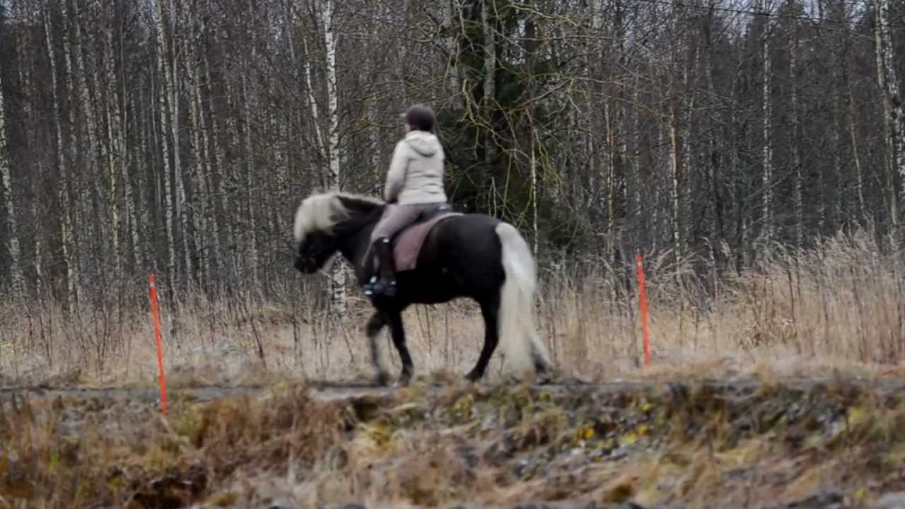 Issikka kaynti laukka