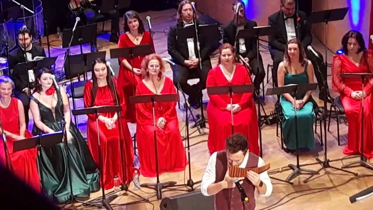 Acapella&Friends la Sibiu 30.11.2025.Radu Nechifor.