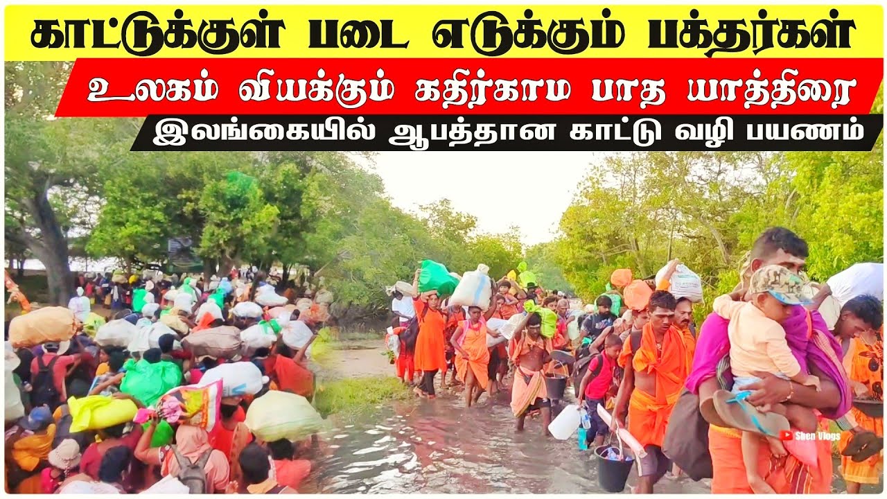 காட்டுக்குள் படை எடுக்கும் பக்தர்கள் | கதிர்காம பாத யாத்திரை EP 02 | Shen Vlogs