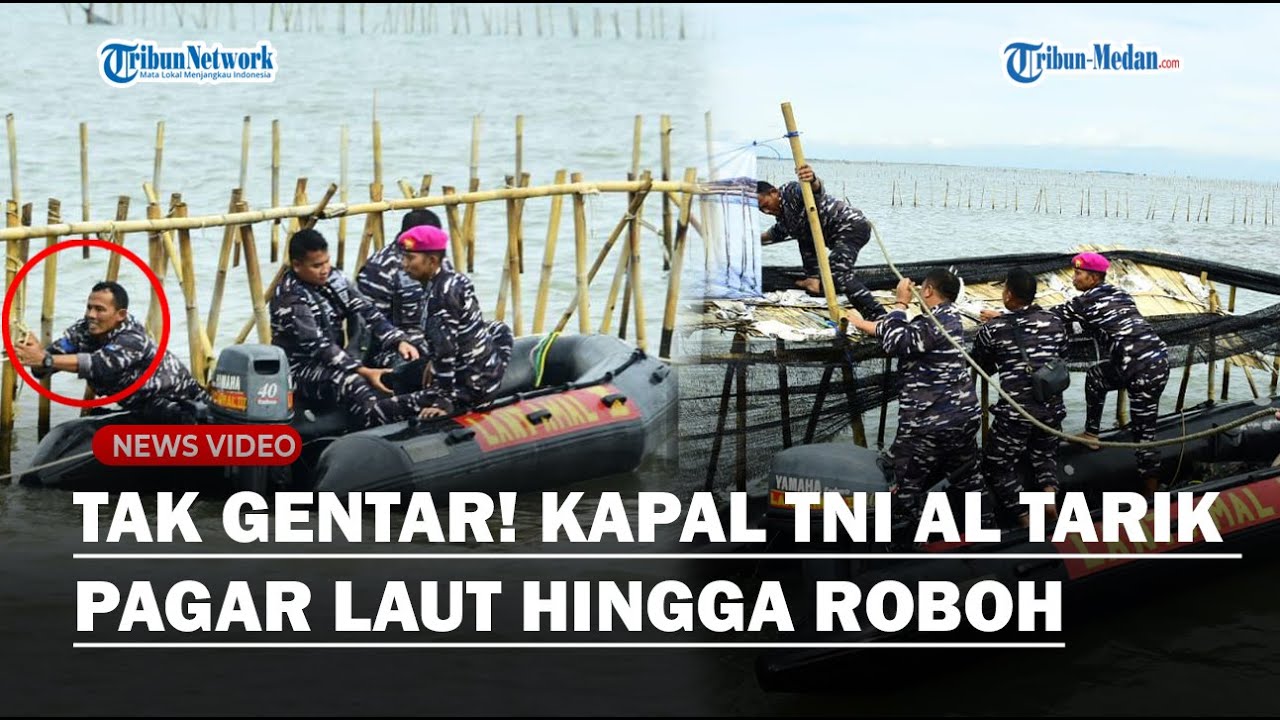 TAK GENTAR! SITUASI Terkini TNI AL Bongkar Pagar Laut di Tanggerang : Bakal Runtuhkan 2 Km