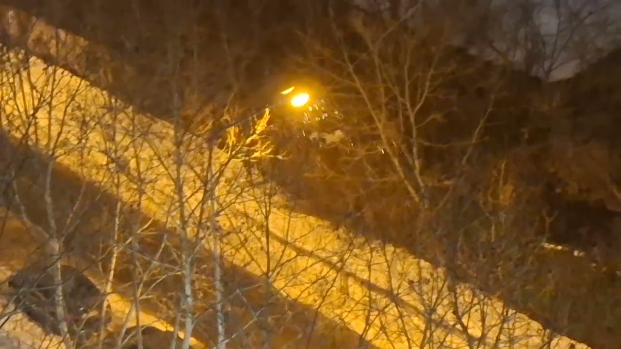 Ninsoare în București în seara de 20 februarie (avertizare cod galben de ninsori şi viscol)