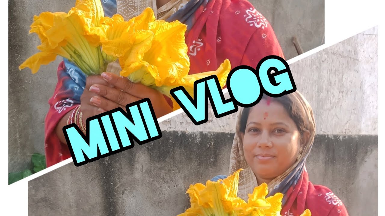 Today Mini Vlog 🙏 Jay Jagannath #youtubefamily #minivlog #viralvideo #shortsviral 