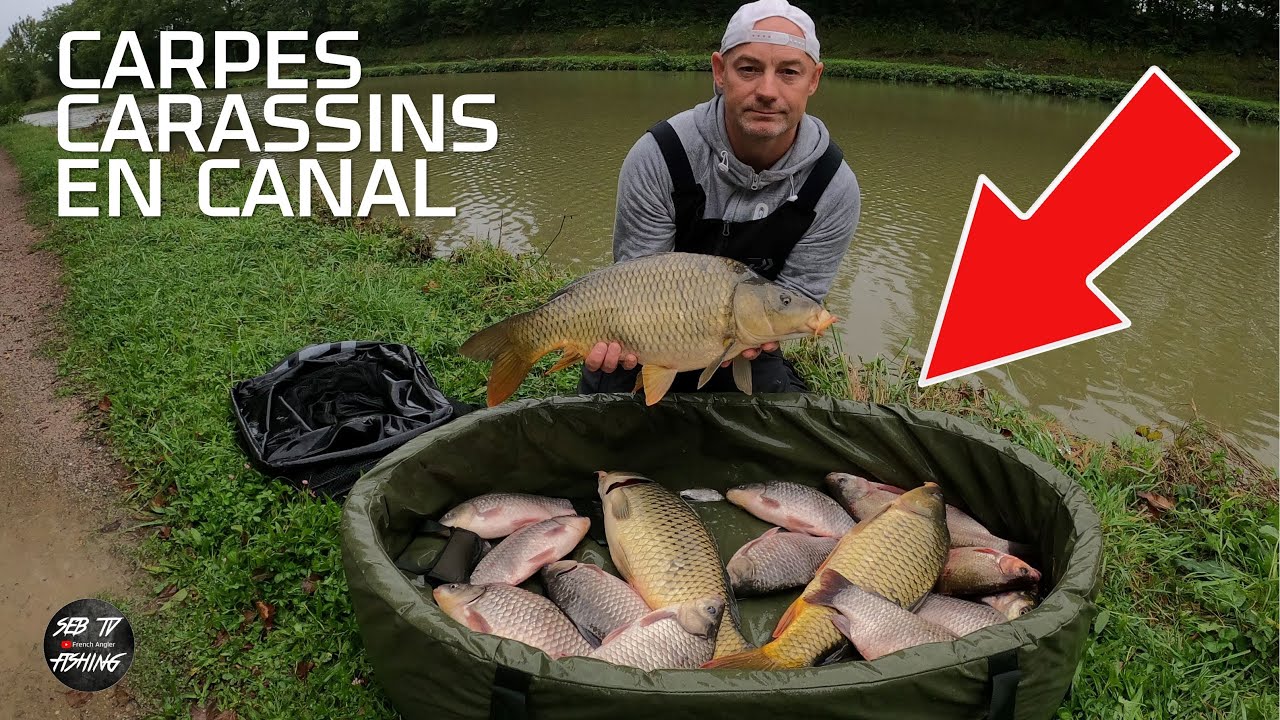 👊 Ce canal a été vidé pendant 4 mois ! les poissons sont ils de retour ?