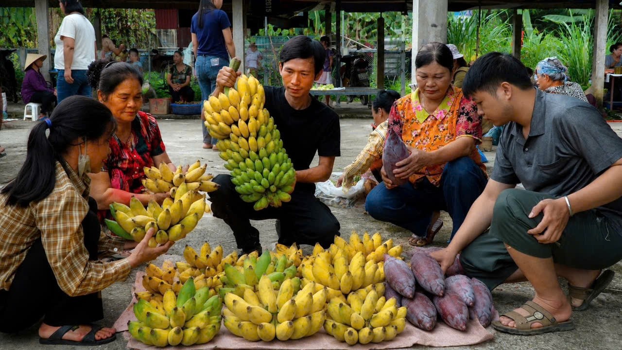Harvesting Ripe Bananas for Market, Foraging Food in the Forest After Rain