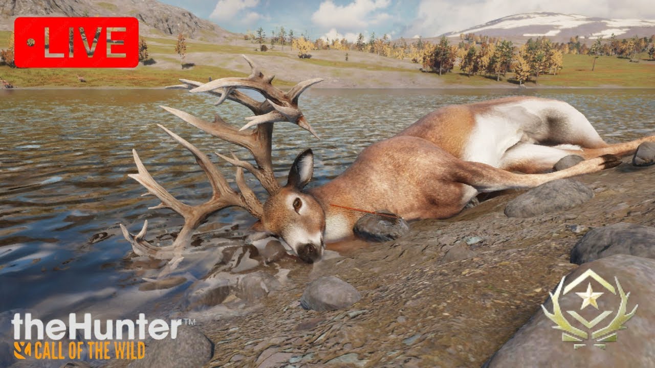 Grinding Whitetail Live in Hunter Call of the Wild