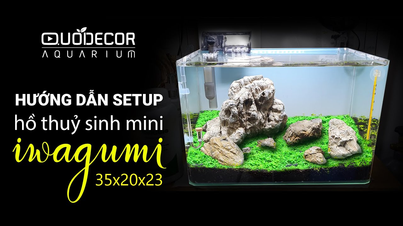 Hướng dẫn setup hồ thuỷ sinh mini iwagumi đá da voi và trân châu ngọc trai - Thuỷ sinh Quoidecor