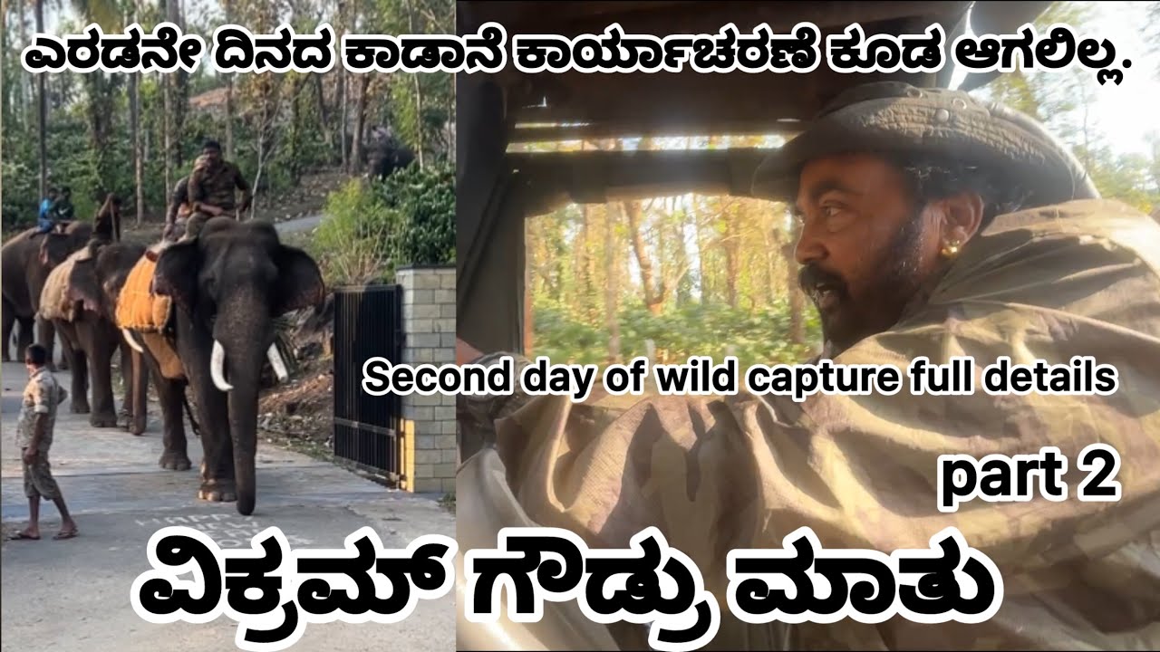 ದೈತ್ಯ ಕಾಡಾನೆ ನೋಡಿ ಶಾಕ್ ಆದ ವಿಕ್ರಮ್ ಗೌಡ್ರು. ಭಯಾನಕ ಜಾಗದಲ್ಲಿ ಕಾಡಾನೆ ಸೆರೆ ನಿಲ್ಲಲು ಕಾರಣ | Wild elephant 
