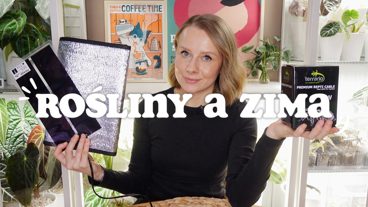 ROŚLINY ZIMĄ 🌱 / Jak zająć się roślinami w bigosie i w hydroponice zimą? / Hydroponika zimą / Porady