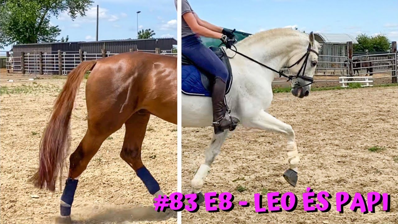 E8-as program LEO és PAPI
