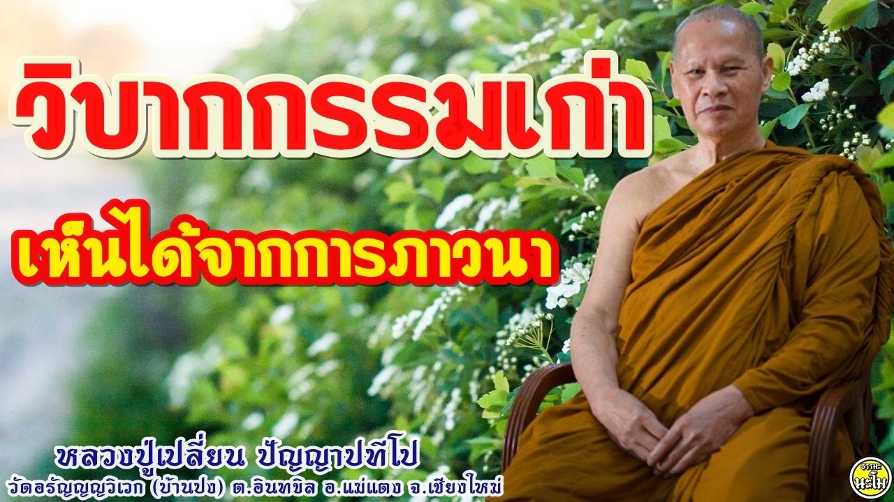 13 วิบากกรรมเก่า เห็นได้จากการภาวนา #หลวงปู่เปลี่ยน ปัญญาปทีโป #พระอาจารย์เปลี่ยน