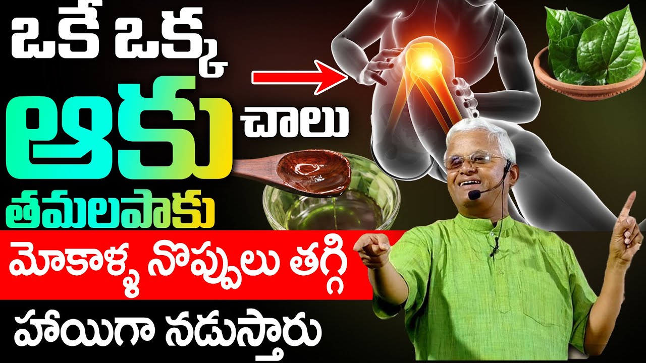 ఈ ఆకు చాలు హాయిగా నడుస్తారు మోకాళ్ళ నొప్పులు తగ్గి నడుస్తారు | Khader Vali ABout Knee Pains
