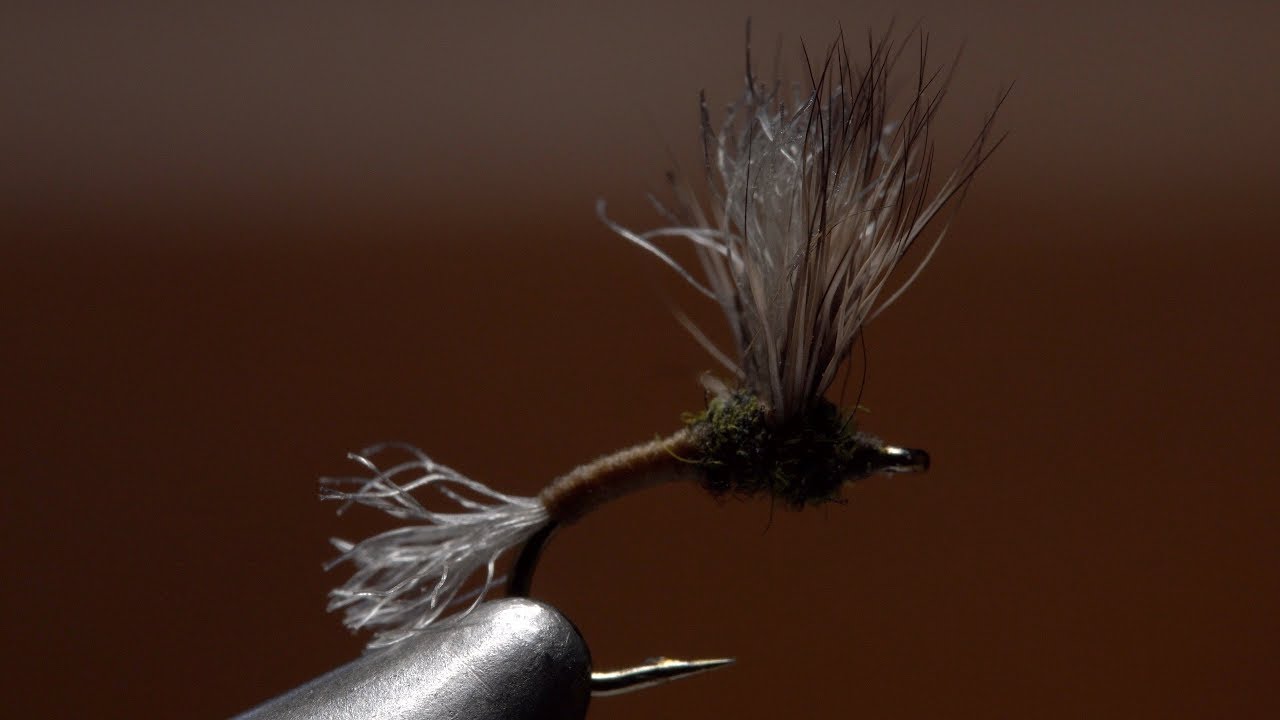 BWO Улучшенный Sparkle Dun