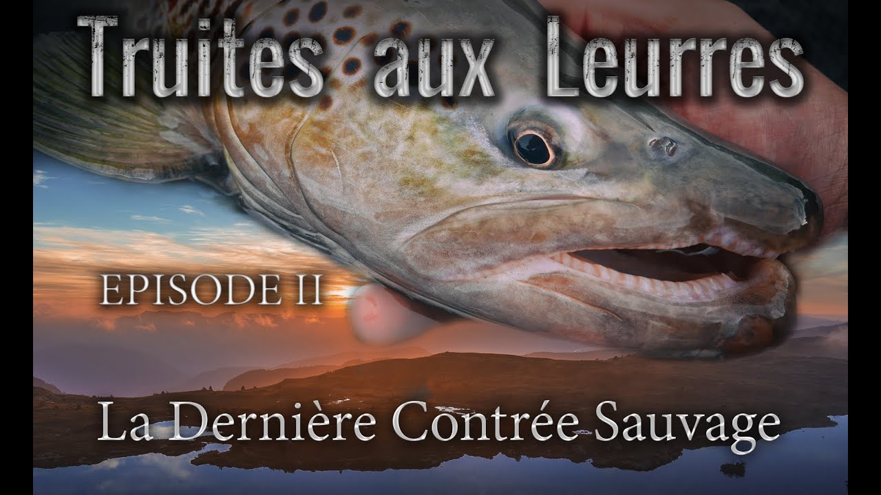 TRUITE - Truites aux leurres - La Dernière Contrée Sauvage