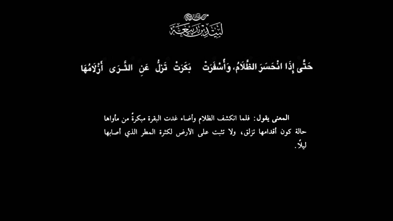 معلقة لبيد بن ربيعة العامري رضي الله عنه  - بصوت فالح القضاع