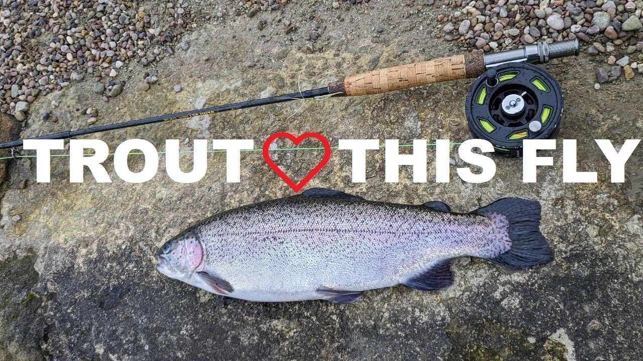 152. Эта мушка 100% поймает любую форель в стоячей воде — Fly Fishing UK