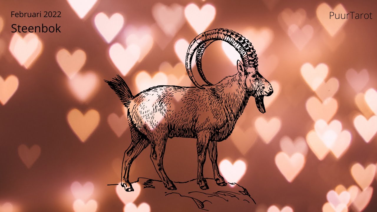 Steenbok - Heb Vertrouwen - Aantrekkingskracht - Wensen Die In Vervulling Gaan - Februari 2022