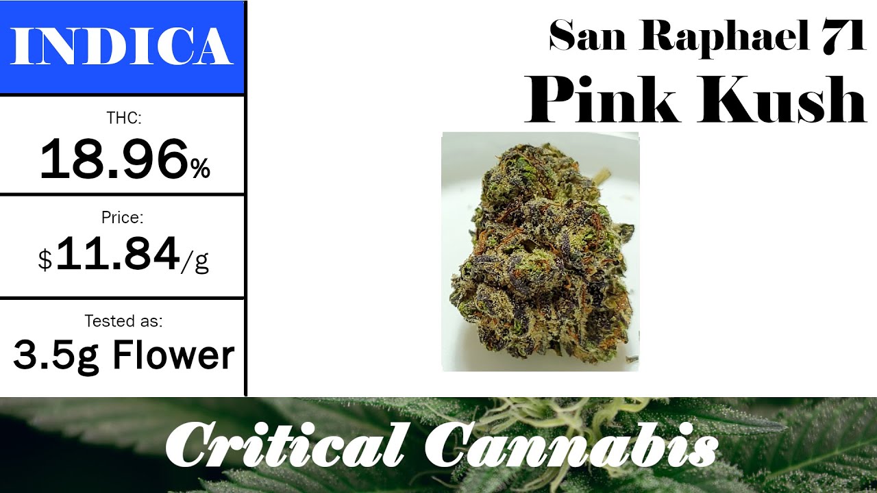 San Raphael 71 - Pink Kush | OCS Strain Review