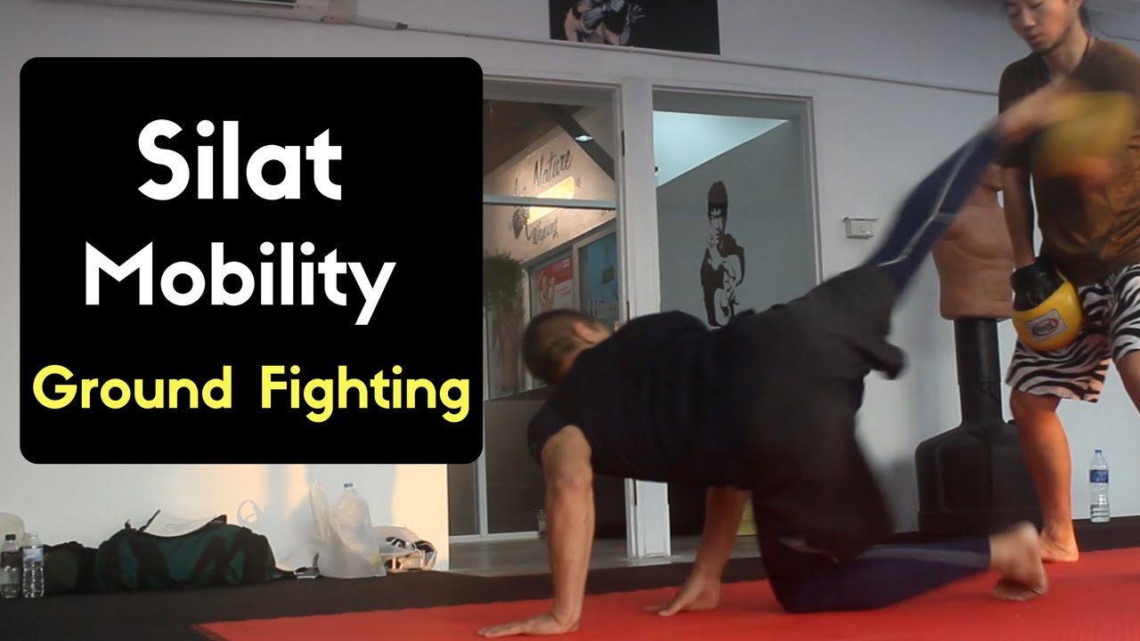 Silat Ground Fighting