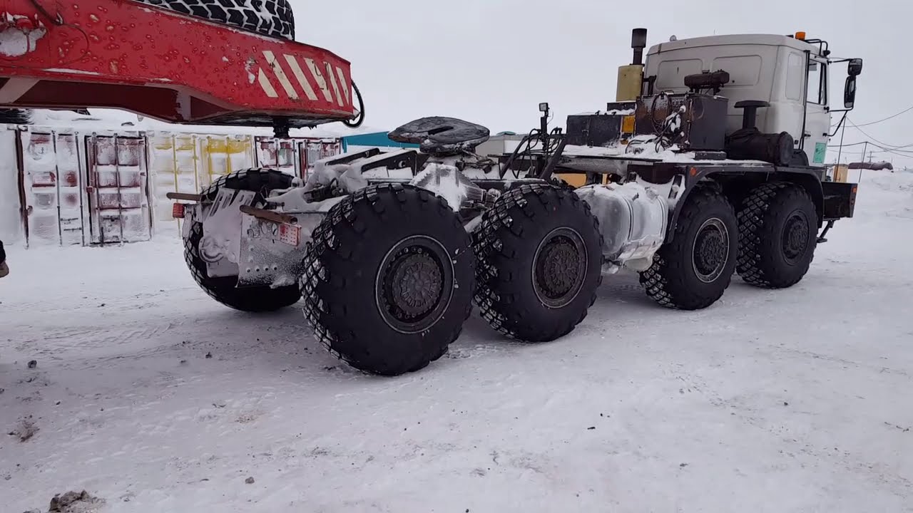 Минский богатырь💪😎