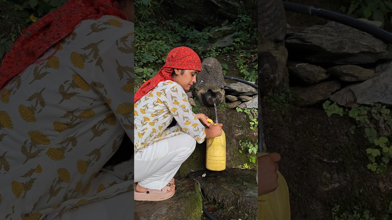 Nature&rsquo;s Hidden Treasure in the Mountains #himachal #minivlog #shortsfeed