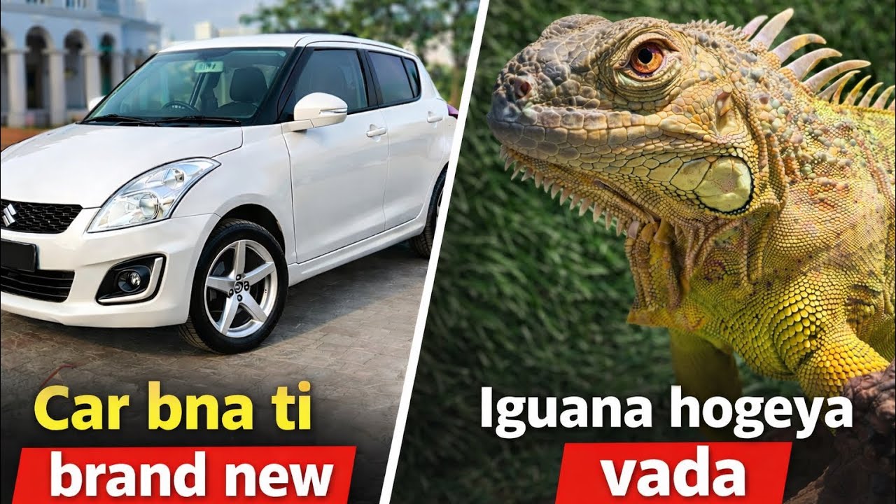 Front lights kar tia brand new 🔥// Red horse da v km shuru ?