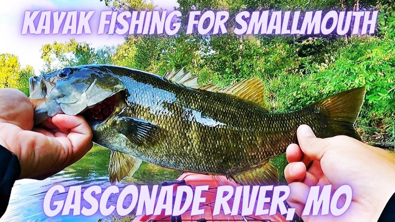 Kayak Fishing for Smallmouth on the Gasconade River, Missouri