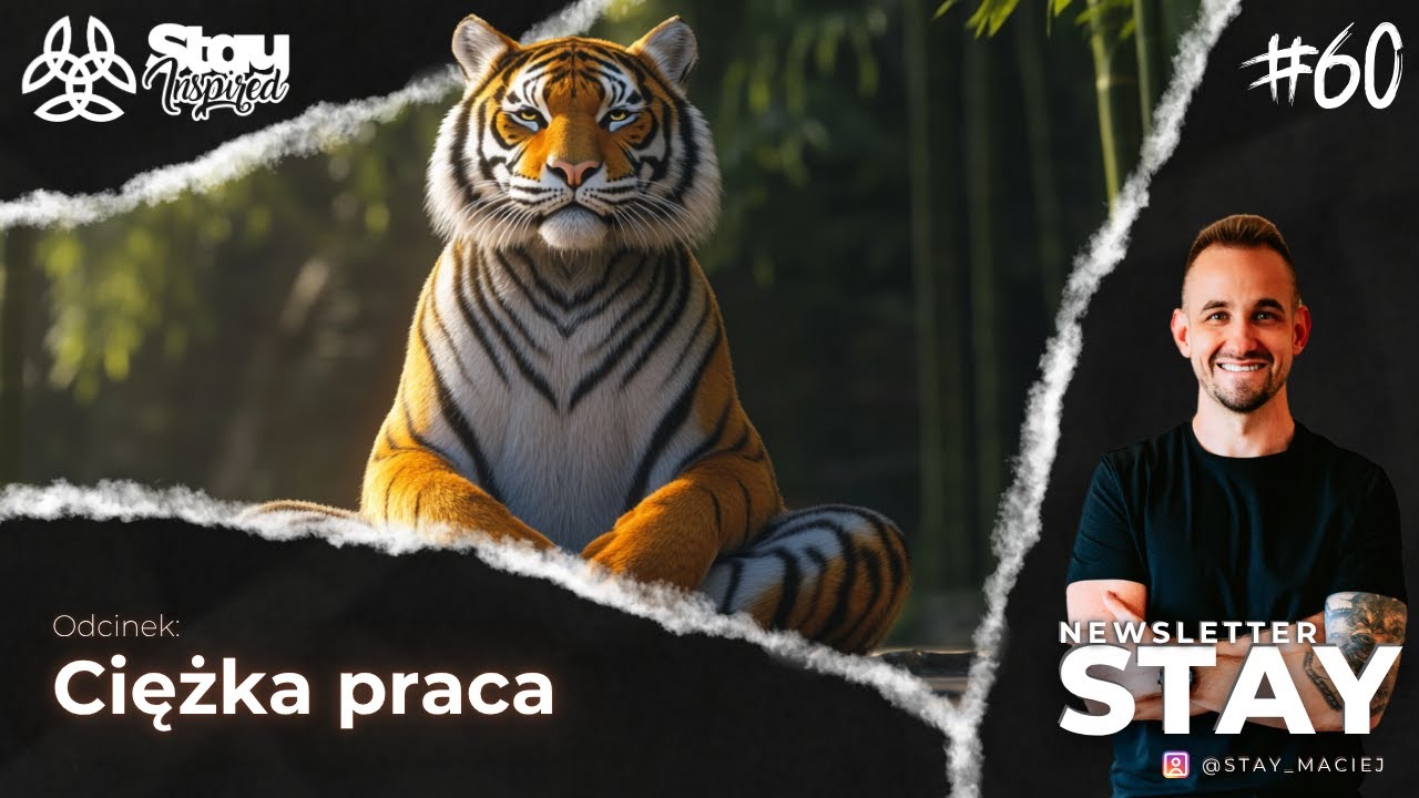 STAY | NEWSLETTER | Ciężka praca | #60